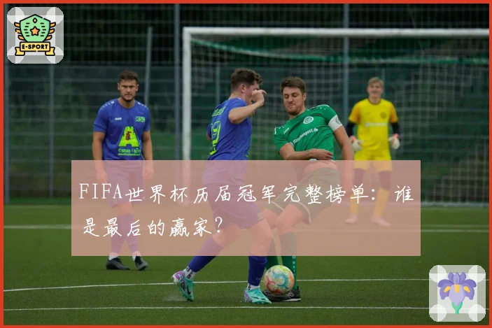FIFA世界杯历届冠军完整榜单:谁是最后的赢家?